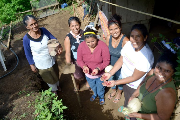 Organisationer går samman för att förändra jordbrukspolitiken
