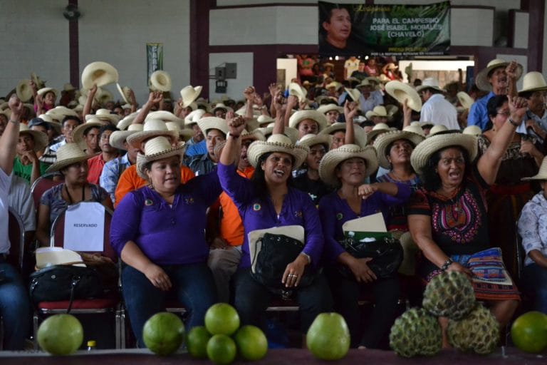 Sverige bör stödja deklarationen om småbrukares rättigheter