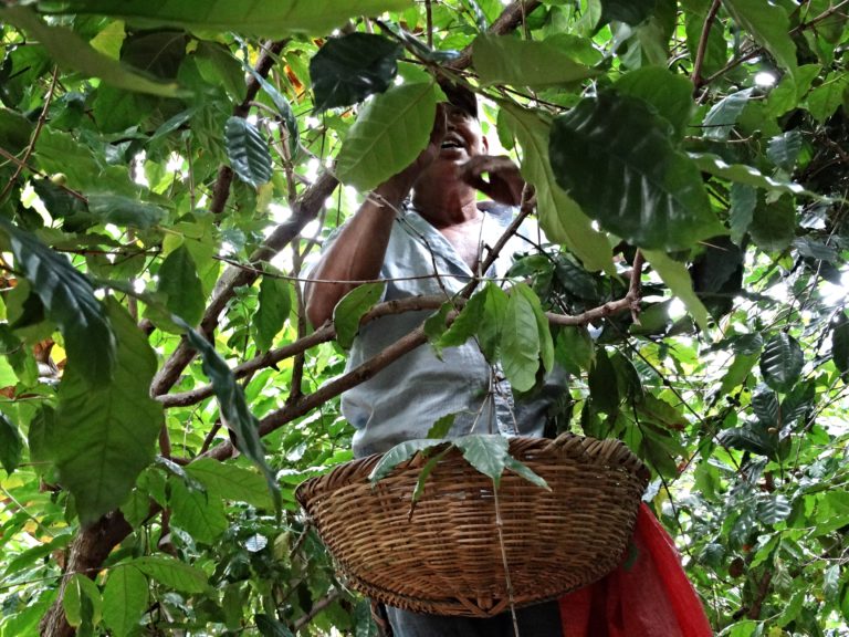 ”Mänskliga rättigheter måste vara ett krav på arbetsplatsen”