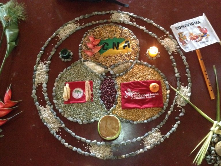 Latinamerikagrupperna fördömer mord på människorättsförsvarare