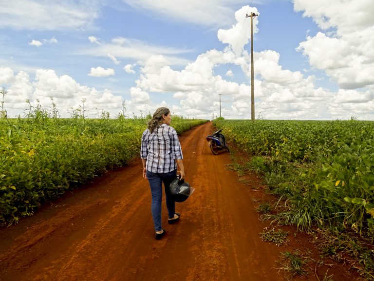 Nadie escapa de los venenos de la soya