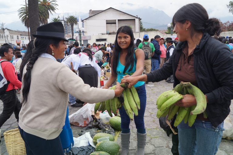 Cuando el derecho a la alimentación se pone a la venta
