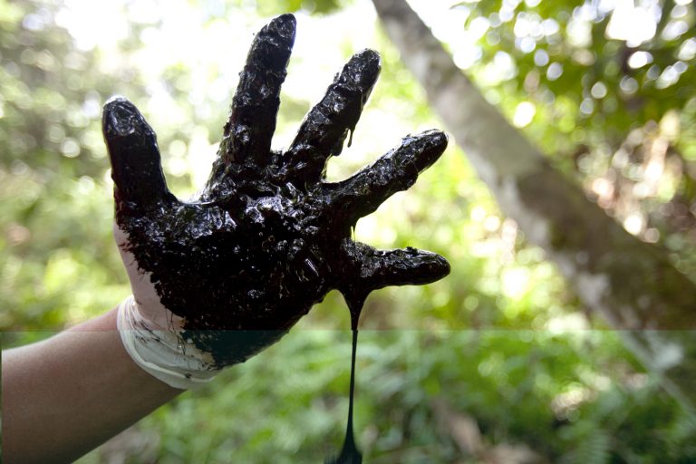 Ecocidio: la destrucción de un ecosistema como crimen internacional
