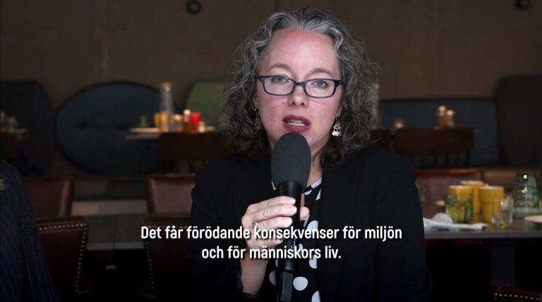 Ett bindande fördrag som reglerar transnationella företags ansvar i fråga om mänskliga rättigheter är viktigt
