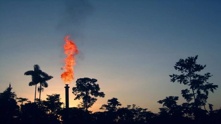 Miljökatastrofen som kallats för regnskogens Tjernobyl