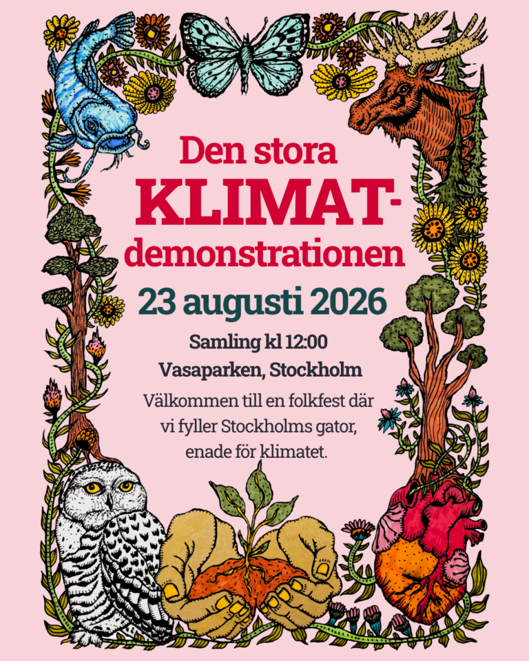 Den stora klimatdemonstrationen