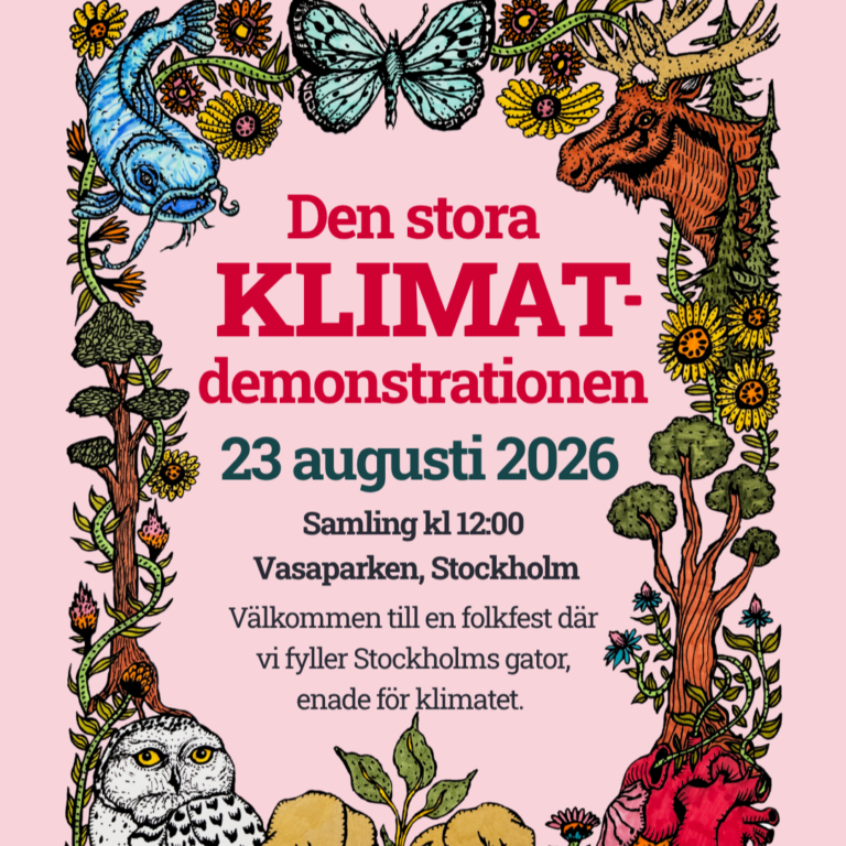 Den stora klimatdemonstrationen
