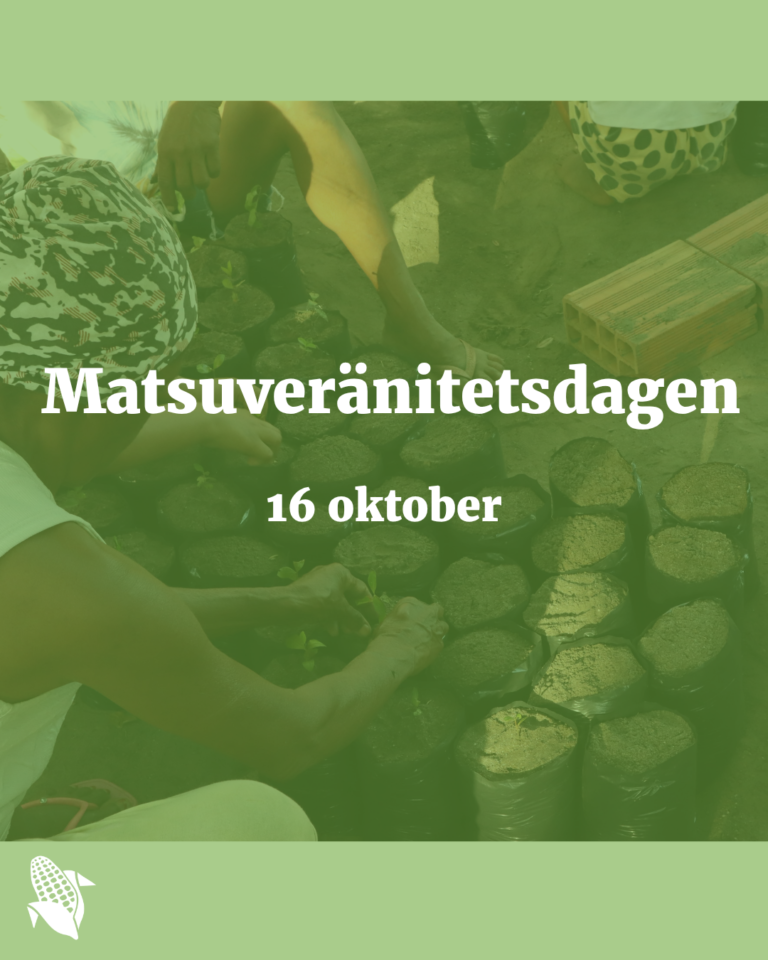 Matsuveränitetsdagen 16 oktober
